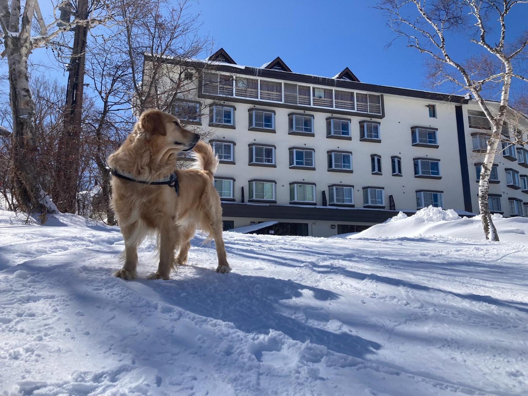 יאמנוצ'י Shiga Lake Hotel מראה חיצוני תמונה