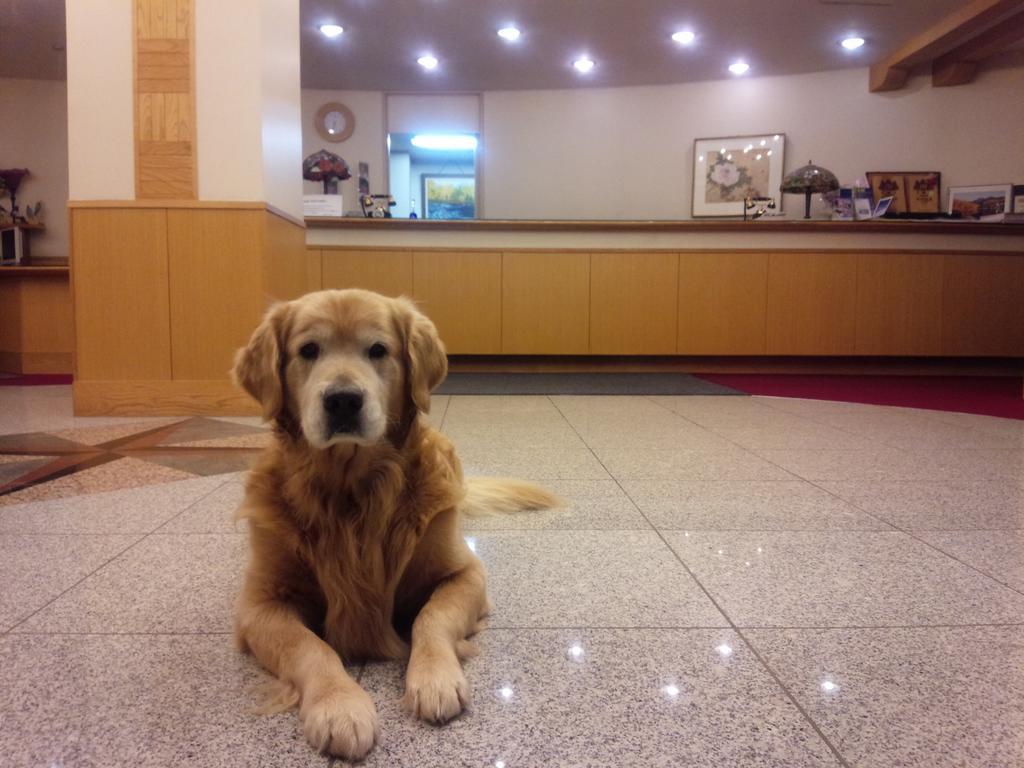 יאמנוצ'י Shiga Lake Hotel מראה חיצוני תמונה